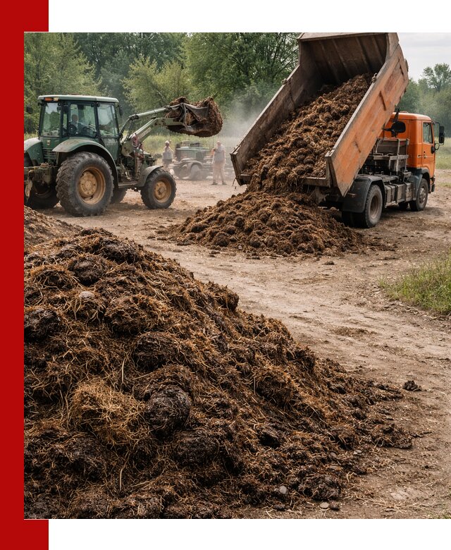 Доставка навоза самосвалами в Сергиевом Посаде для сельхозпотребностей