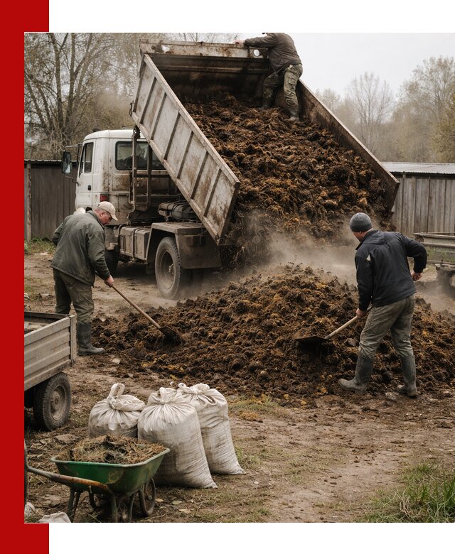 Доставка коровьего навоза самосвалом в Сергиевом Посаде